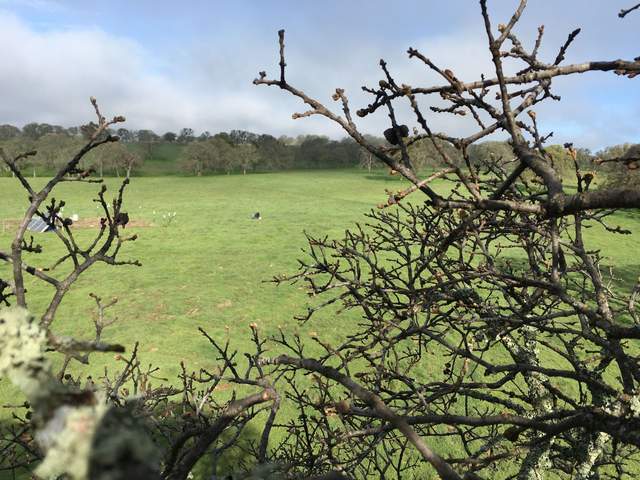 view of field site