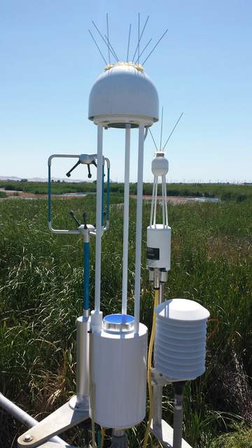 Eddy sensors above green wetland plants at the East End Open Water temporary tower