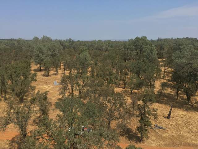 View of Tonzi oak savanna, looking north from the tower, with mostly green oak/pine trees and bright yellow grass underneath