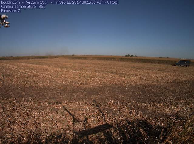 Corn Harvest