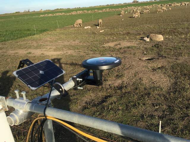 Supplemental solar panel added to Arable Mark. Sheep grazing right next to tower.