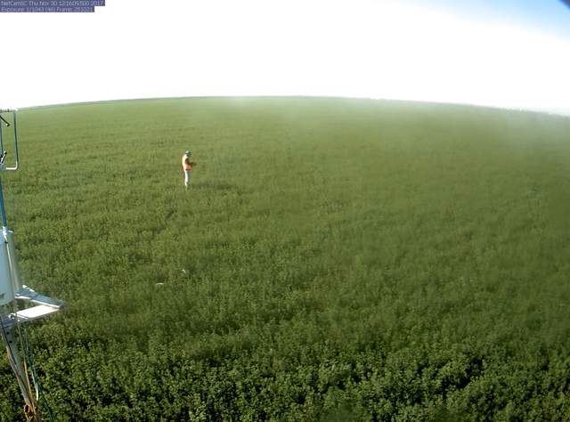 Elke in the field with new safety vest