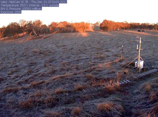 Frost on the ground