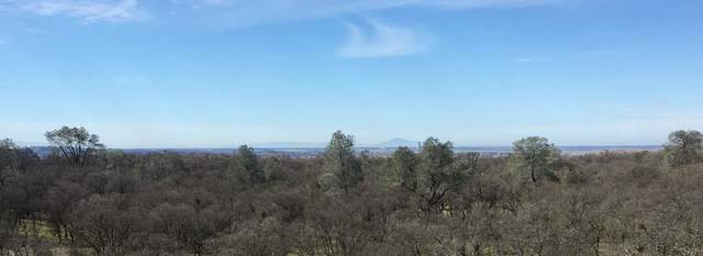 Rancho Seco and Mt. Diablo visible from the Tonzi tower
