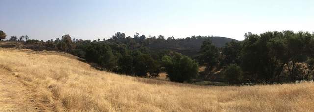 The fire on July 6th burned down to the northeast edge of the pond.