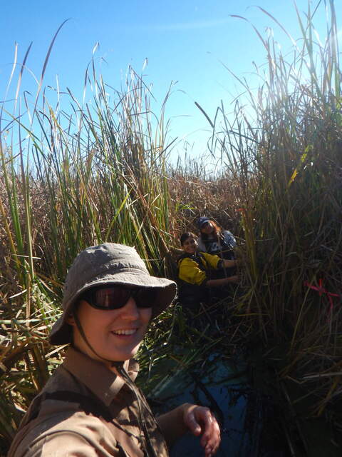 Alex, Mishal, and Karen on site collecting plants for litter decomposition experiment