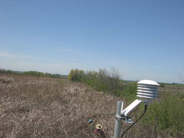 Elke and Daphne doing leaf-level measurments