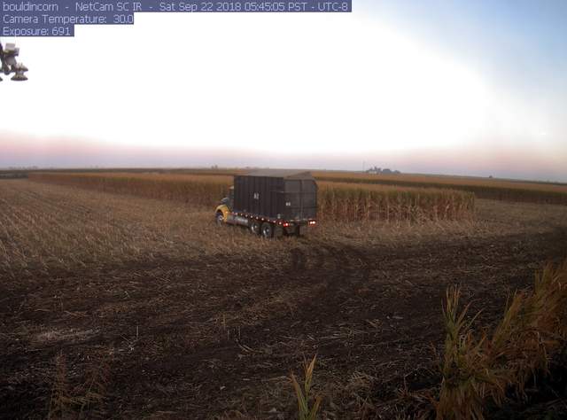 Harvest, truck on field