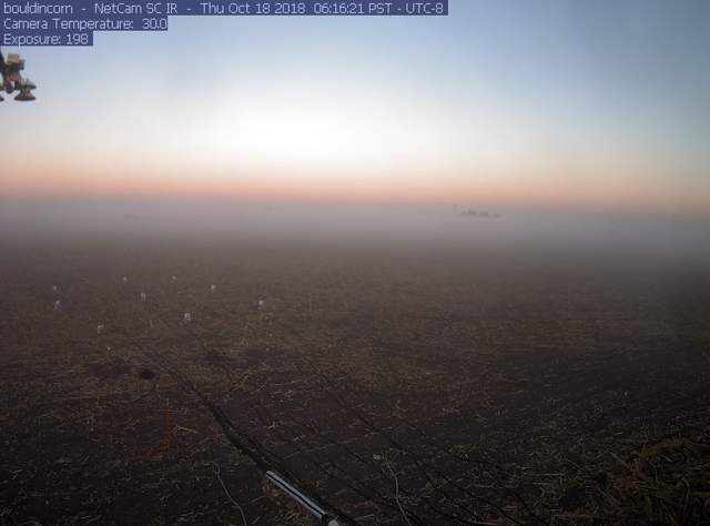 Tule fog at dawn.