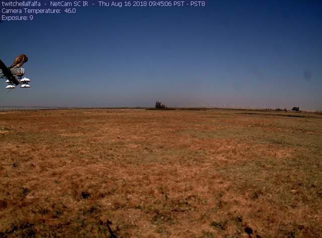 Kestrel on radiometers