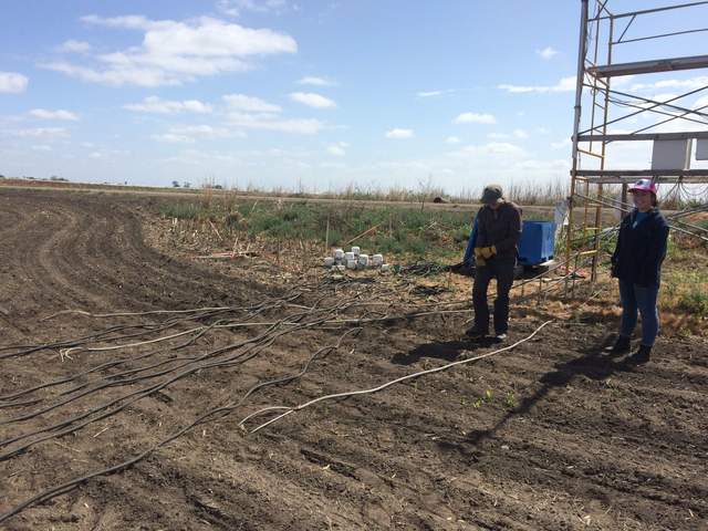 Alex and Katrina reinstalling soil sensors in freshly planted field. 