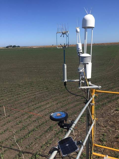 Arable weather station and small solar panel installed on top of the corn tower