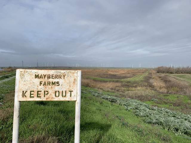 Entrance to Mayberry with brown tule blowdown in the background.