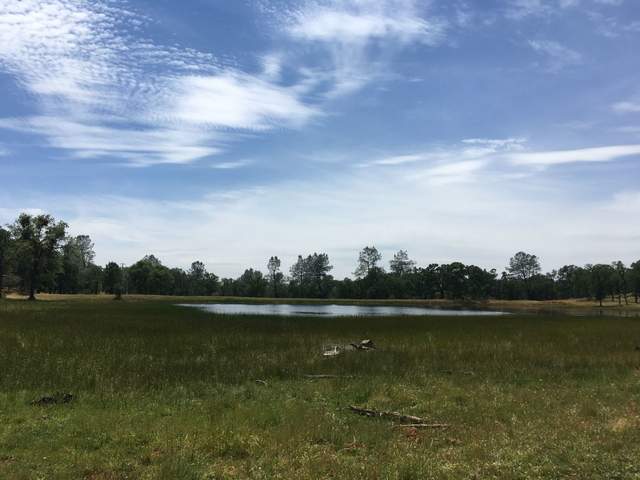 Pond behind Tonzi