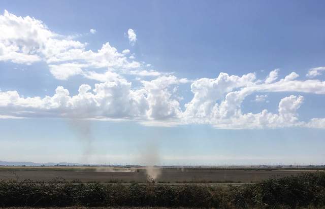 Multiple dust devils spawning on field being plowed