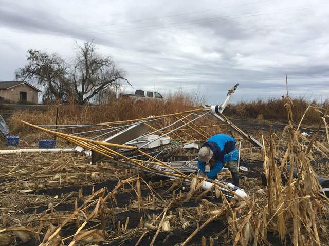 Joe taking off sensors from Bouldin Corn tower that fell down on during a wind/rain storm on 2019-11-26. 