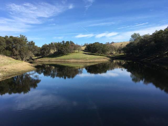 A nice day at the pond