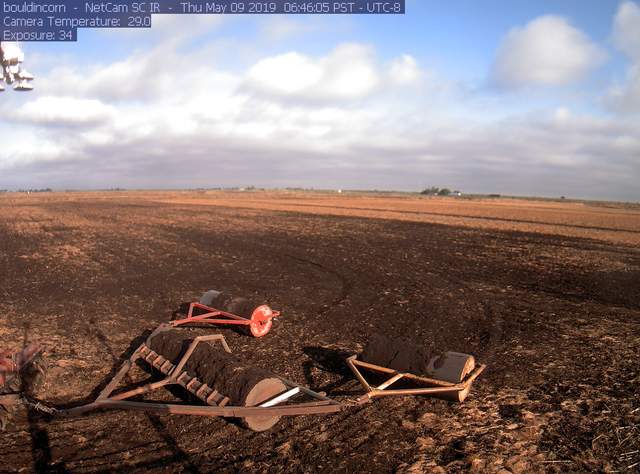 Tractor work - planting?