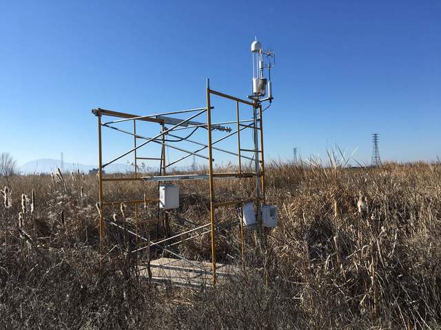 Temporary tower set up at Sherman Wetland, 1250m upwind of the permanent tower.