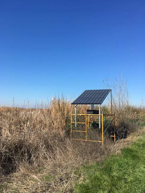 Temporary tower solar panel set up at Sherman Wetland, 1250m upwind of the permanent tower.