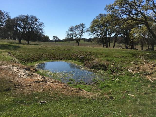 Regular photo of the waterhole