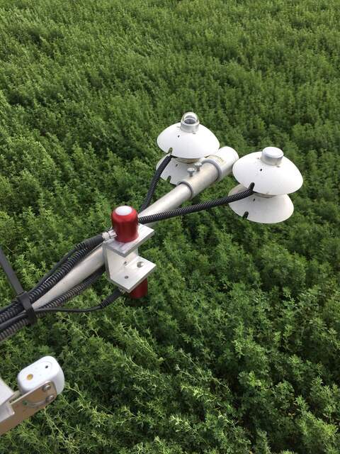 Apogee red/far-red sensor installed on the alfalfa radiation boom.