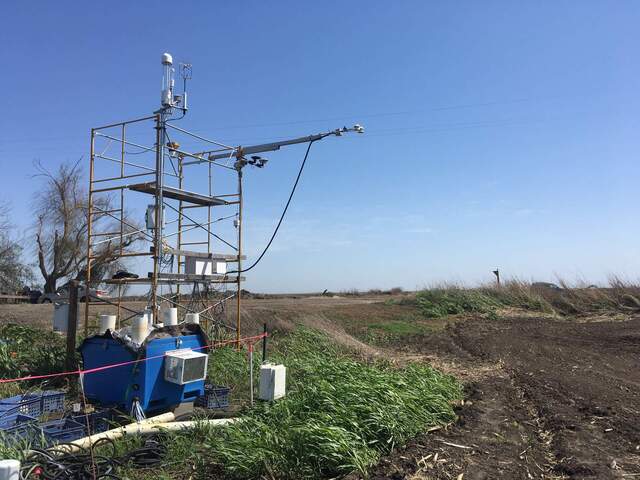 Weeds under radiometers that were not disked. We will have to move the tower into the field after they plant. 