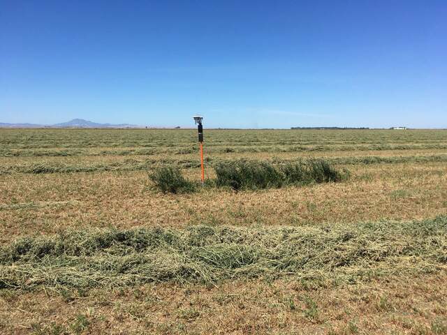 Side view of unmowed area around Arable Marks