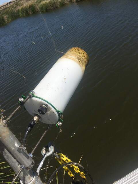 Muck on outside of fluorometer, most of which I could wipe off. The inside was mucky, too, but I couldn