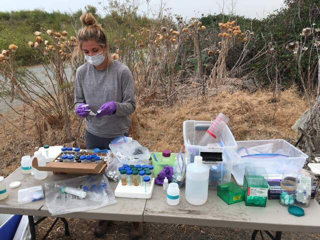 Erin processing water samples (filter, filter and filter again)