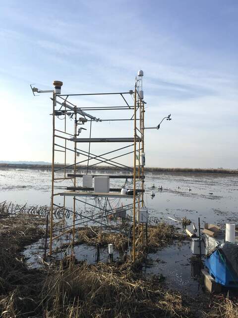 Water level has risen since last site visit. Area under tower is flooded about shin height.