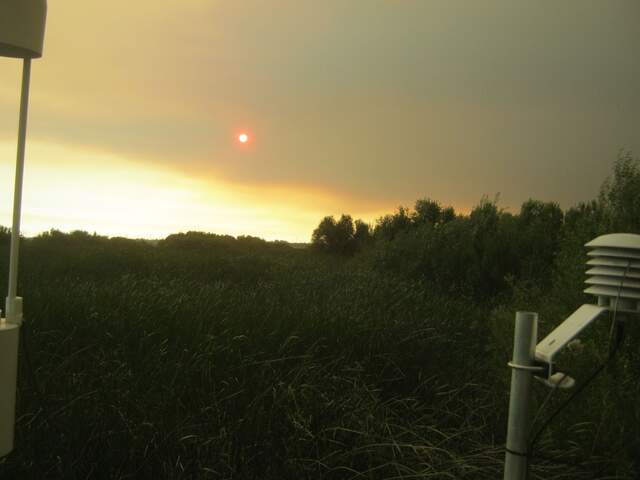 Reddish sun shining through wildfire smoke