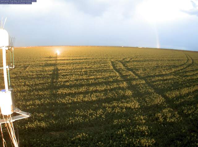 Rainbow and interesting glare from sun shining on camera enclosure