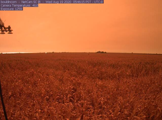 Orange skies from wildfire smoke