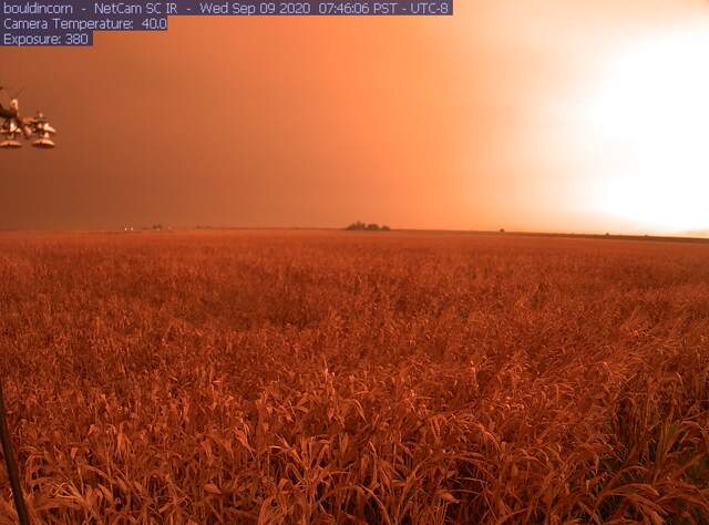 Orange skies from wildfire smoke