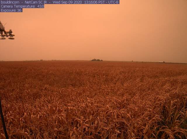 Orange skies from wildfire smoke