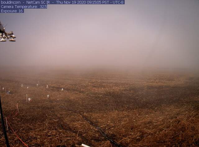 Foggy morning during the site visit. It was hard to see the highway exit.