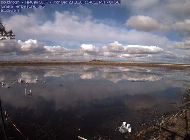 Fluffy cumulus clouds reflected in still water