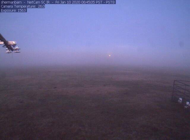 Setting moon on a foggy morning