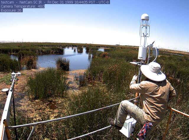 Joe cleaning flux sensors