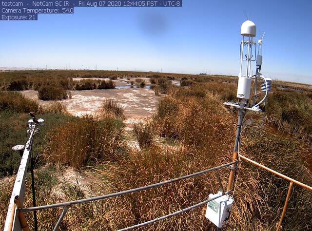 Birds on radiometers, low water level