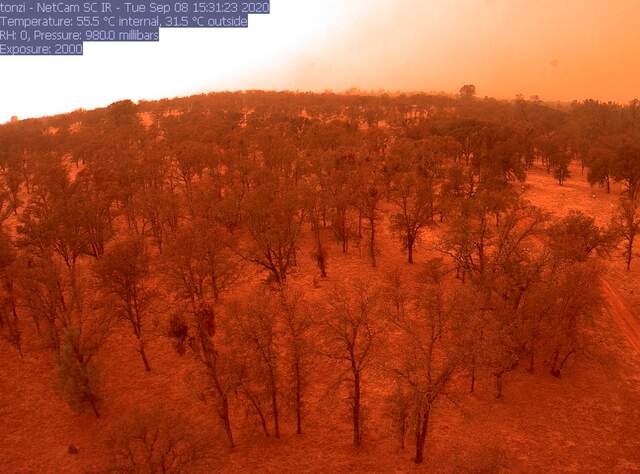 Orange skies from wildfire smoke