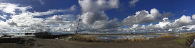 It was a really beautiful day in the Delta except for the downed tower - warm and sunny with white fluffy clouds, almost no wind the ponds mirroring the sky and lots of birds.