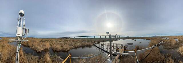 Panoramic of Sherman Wetland site with brown plants, calm water, and ice halo around sun.