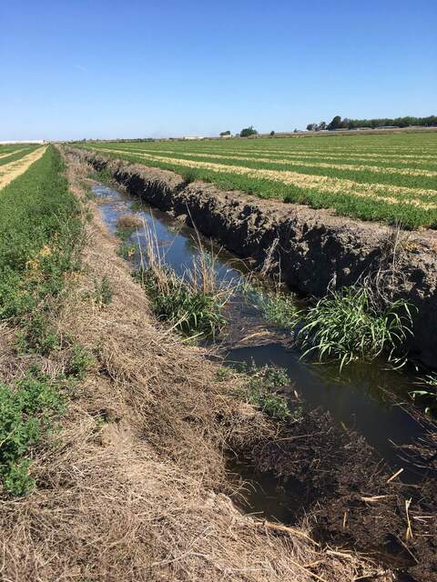 First time Iâ€™ve seen significant amount of water in the ditch