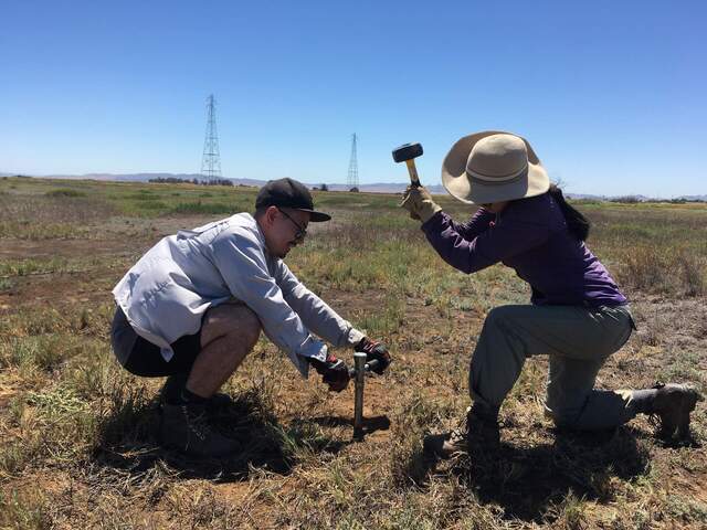 Daphne and Carlos collecting a soil core with the narrow auger