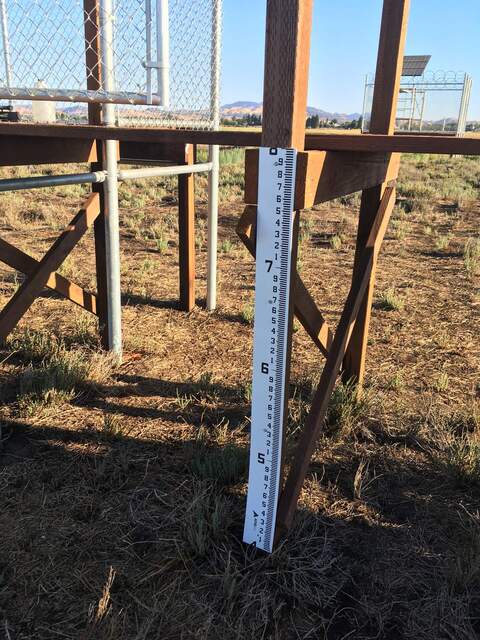 New staff gauge probably installed by CDFW by the Hill Slough enclosure. The bottom of the staff gauge is at 4