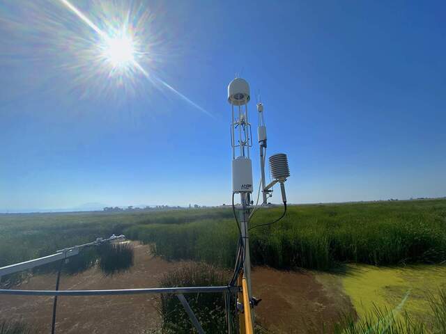 Dutch Slough flux sensors