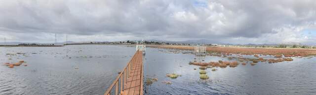 High tide at Hill Slough