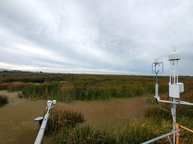 Gilbert Tract on an overcast fall day. Water level is close to high tide.